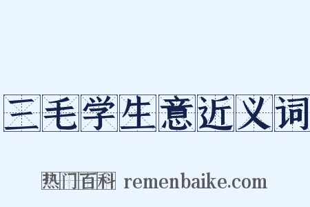三毛学生意近义词是什么意思的图片